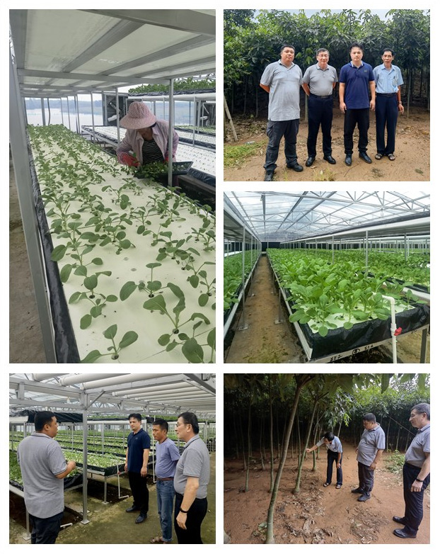 ��ҳ- �ڲ���������Ϊ��,רҵ����!