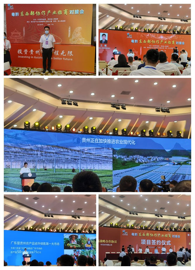 ��ҳ- �ڲ���������Ϊ��,רҵ����!