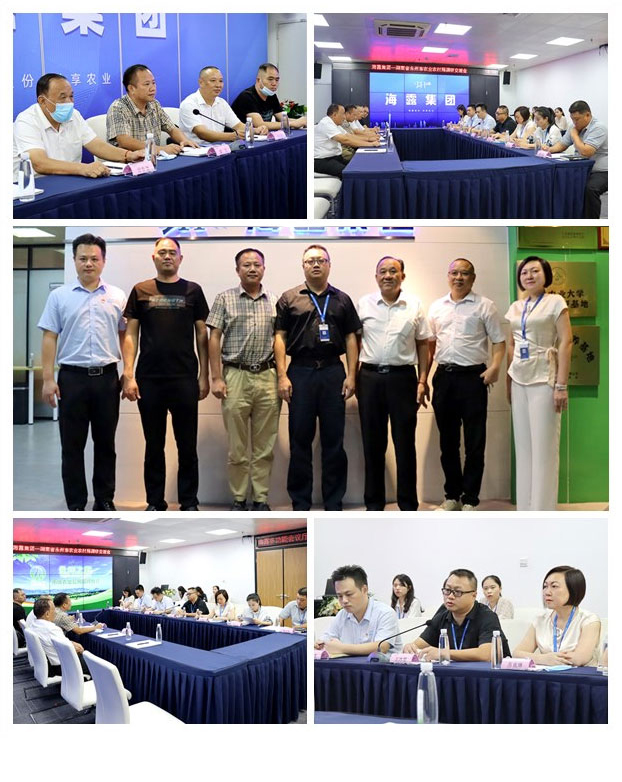 ��ҳ- �ڲ���������Ϊ��,רҵ����!