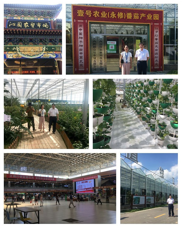 ��ҳ- �ڲ���������Ϊ��,רҵ����!