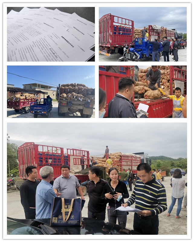 ��ҳ- �ڲ���������Ϊ��,רҵ����!