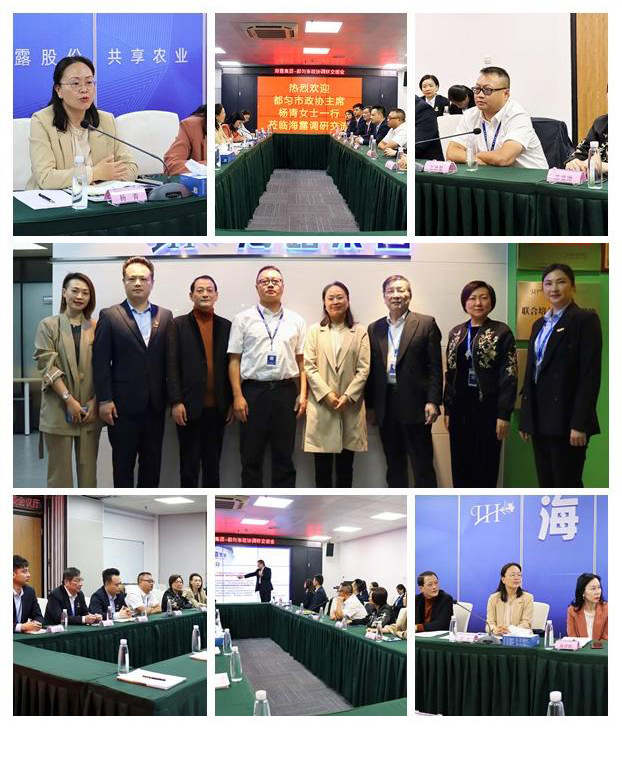 ��ҳ- �ڲ���������Ϊ��,רҵ����!