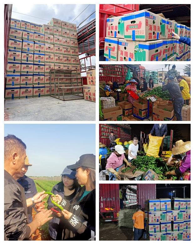 ��ҳ- �ڲ���������Ϊ��,רҵ����!