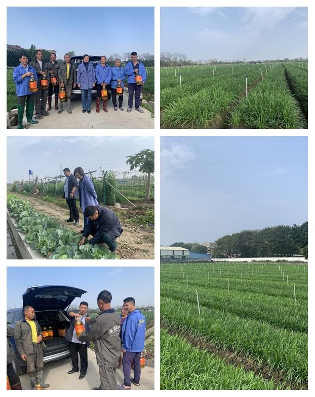 ��ҳ- �ڲ���������Ϊ��,רҵ����!