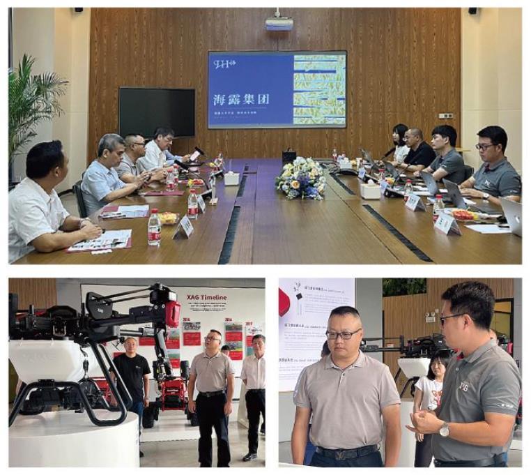 ��ҳ- �ڲ���������Ϊ��,רҵ����!