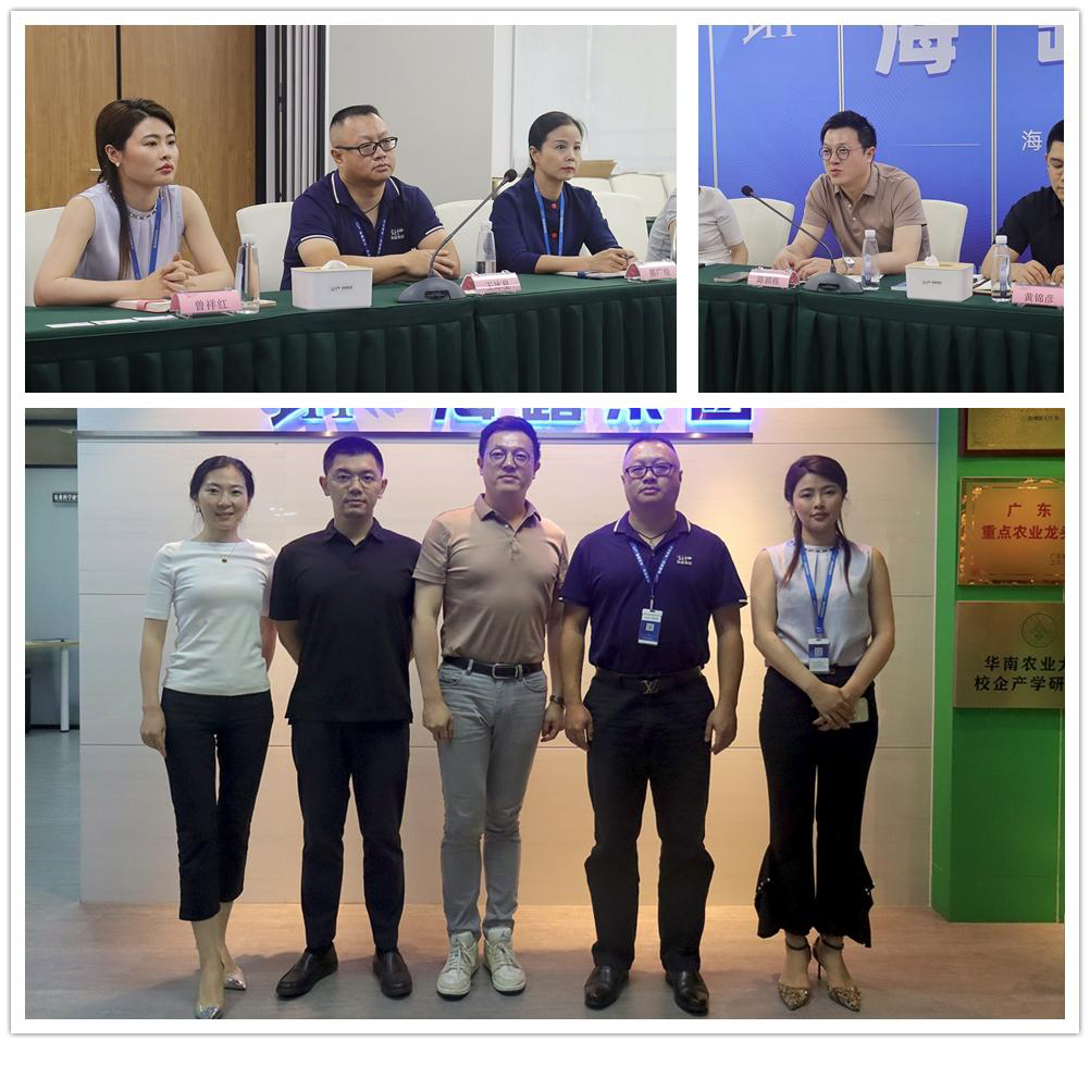 ��ҳ- �ڲ���������Ϊ��,רҵ����!