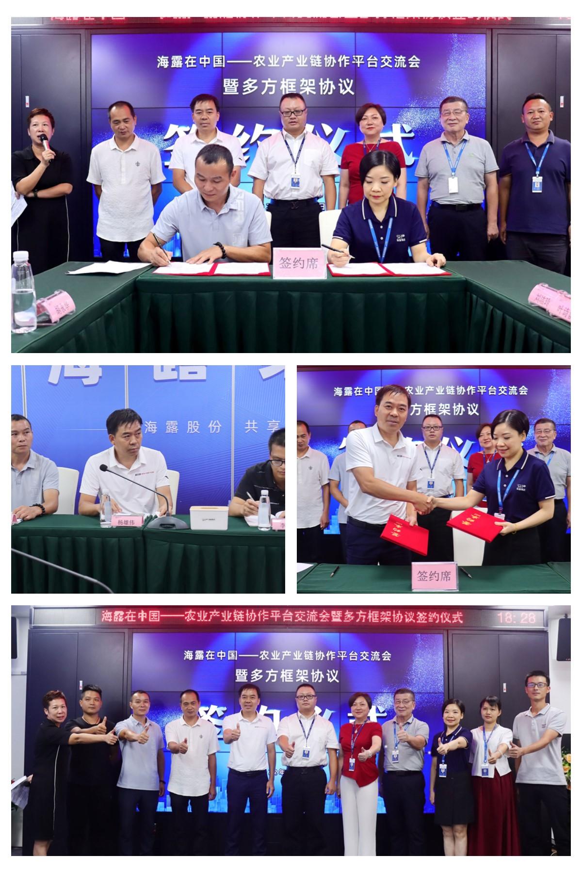 ��ҳ- �ڲ���������Ϊ��,רҵ����!