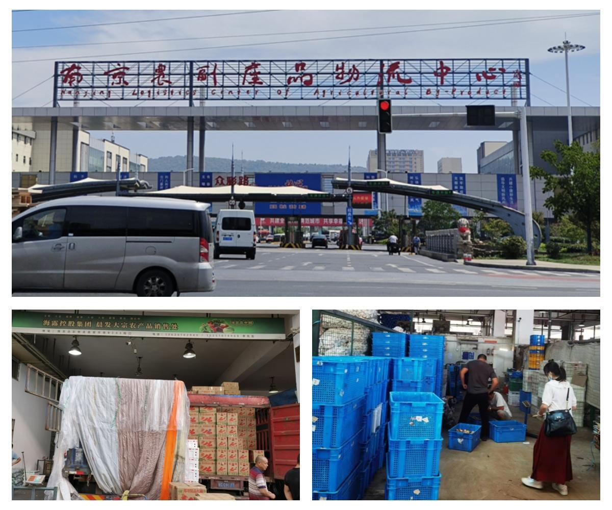 ��ҳ- �ڲ���������Ϊ��,רҵ����!