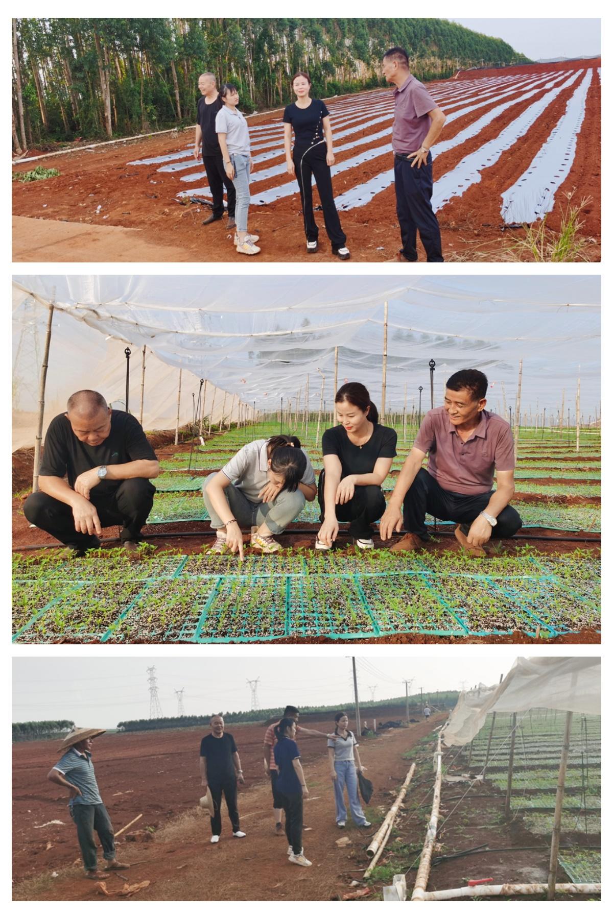 ��ҳ- �ڲ���������Ϊ��,רҵ����!