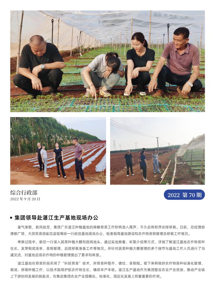 ��ҳ- �ڲ���������Ϊ��,רҵ����!