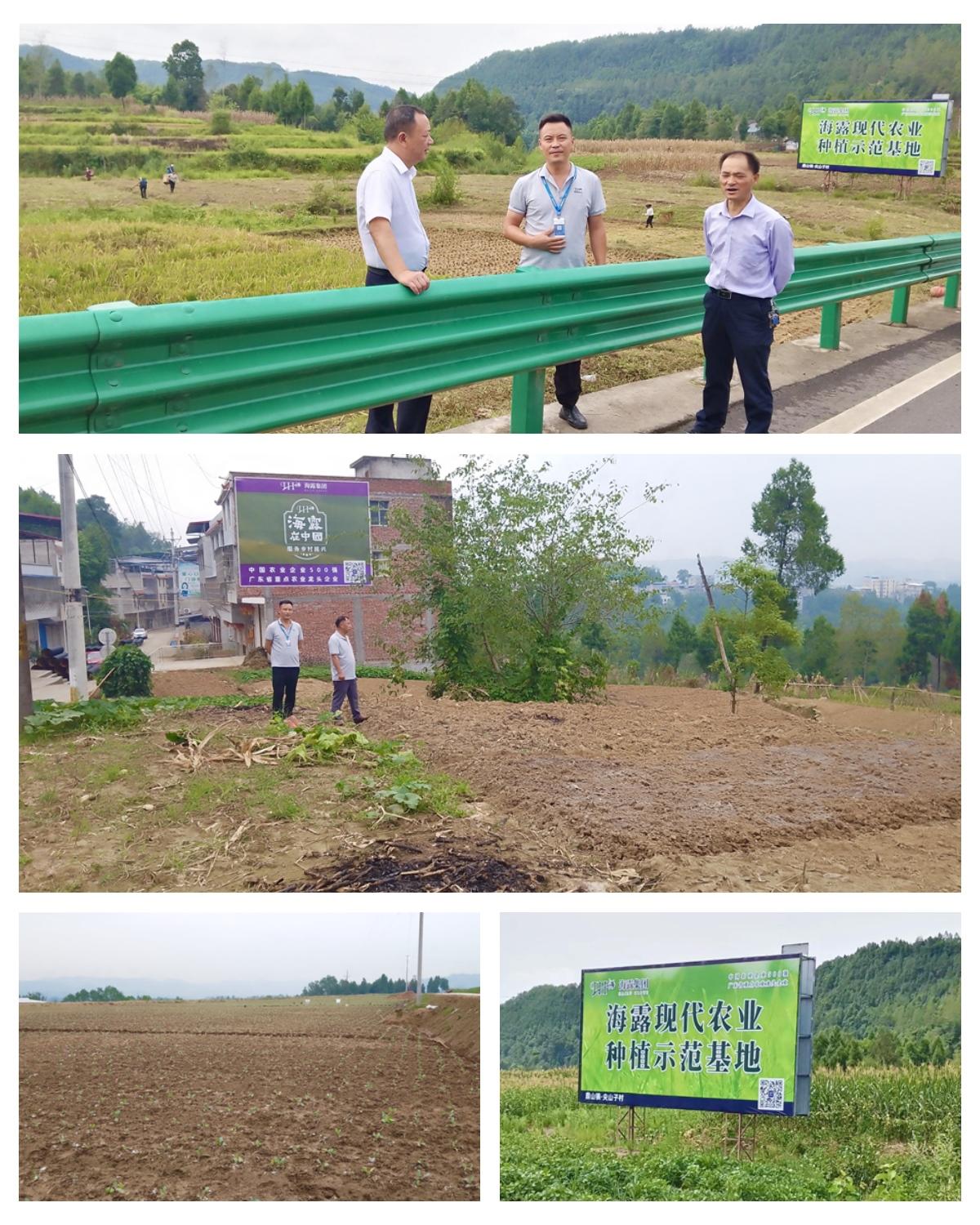 ��ҳ- �ڲ���������Ϊ��,רҵ����!