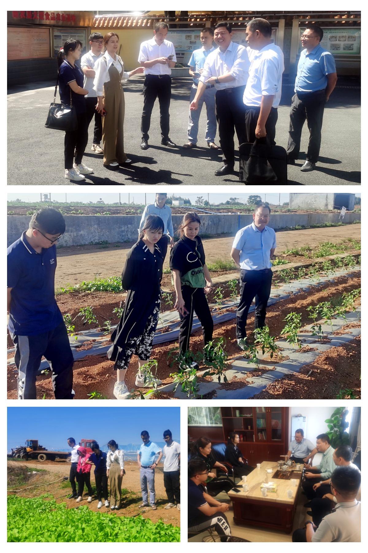 1-2210121FF4b2 首页- 腾博官网诚信为本,专业服务!