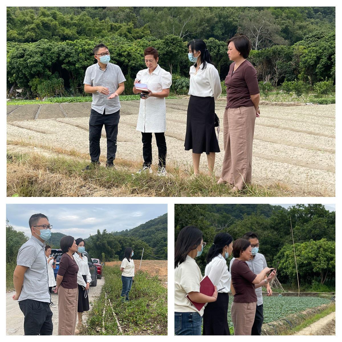 ��ҳ- �ڲ���������Ϊ��,רҵ����!