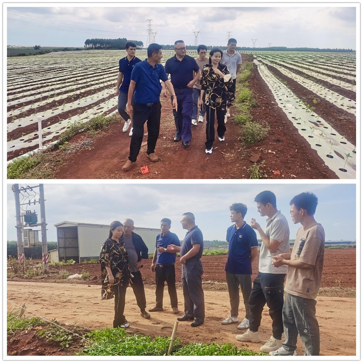 ��ҳ- �ڲ���������Ϊ��,רҵ����!