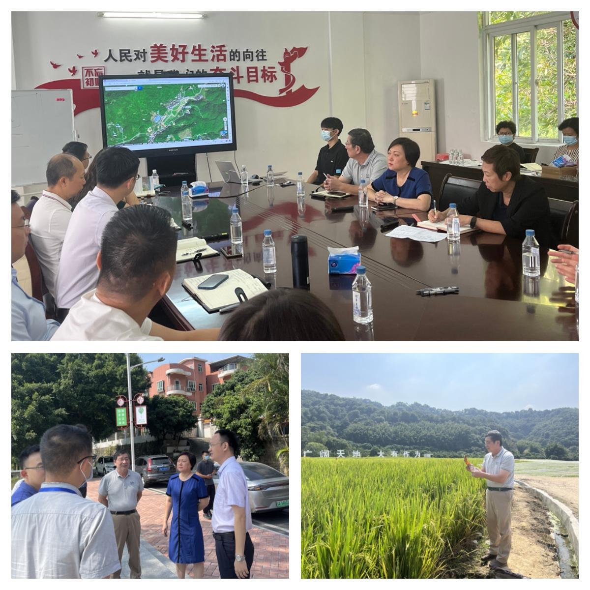 ��ҳ- �ڲ���������Ϊ��,רҵ����!