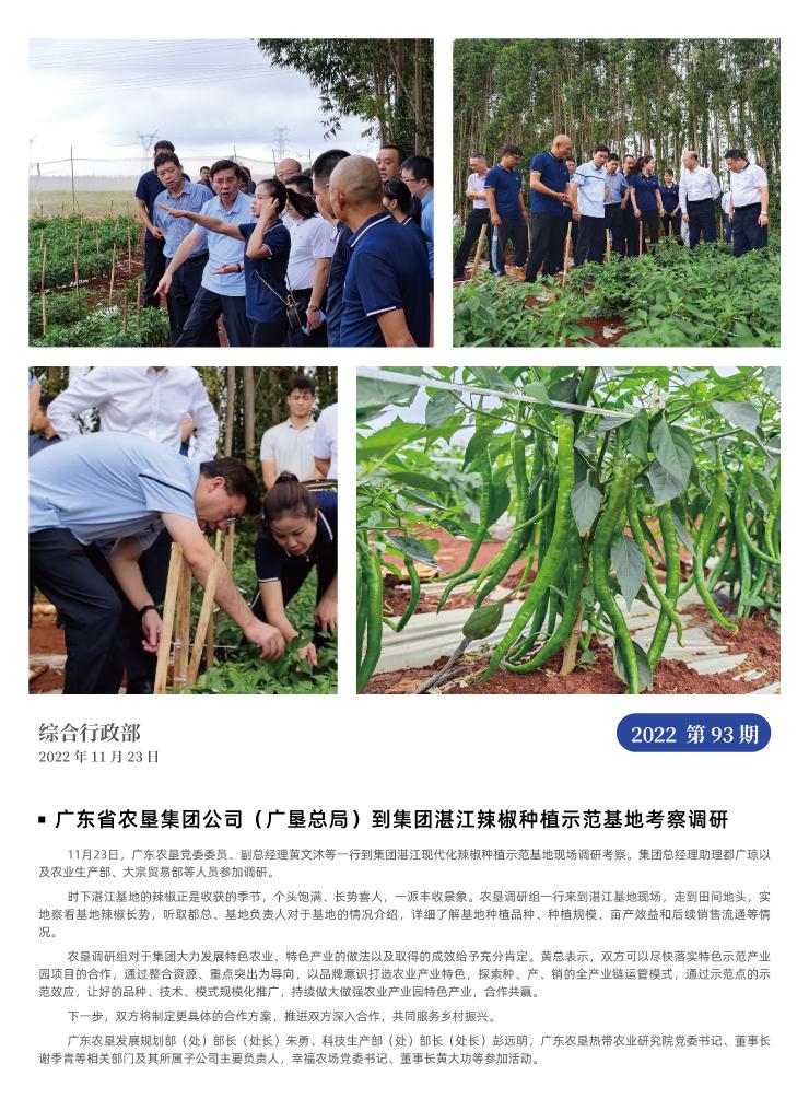 ��ҳ- �ڲ���������Ϊ��,רҵ����!