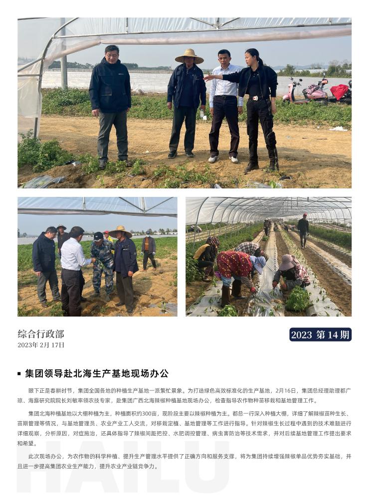 ��ҳ- �ڲ���������Ϊ��,רҵ����!