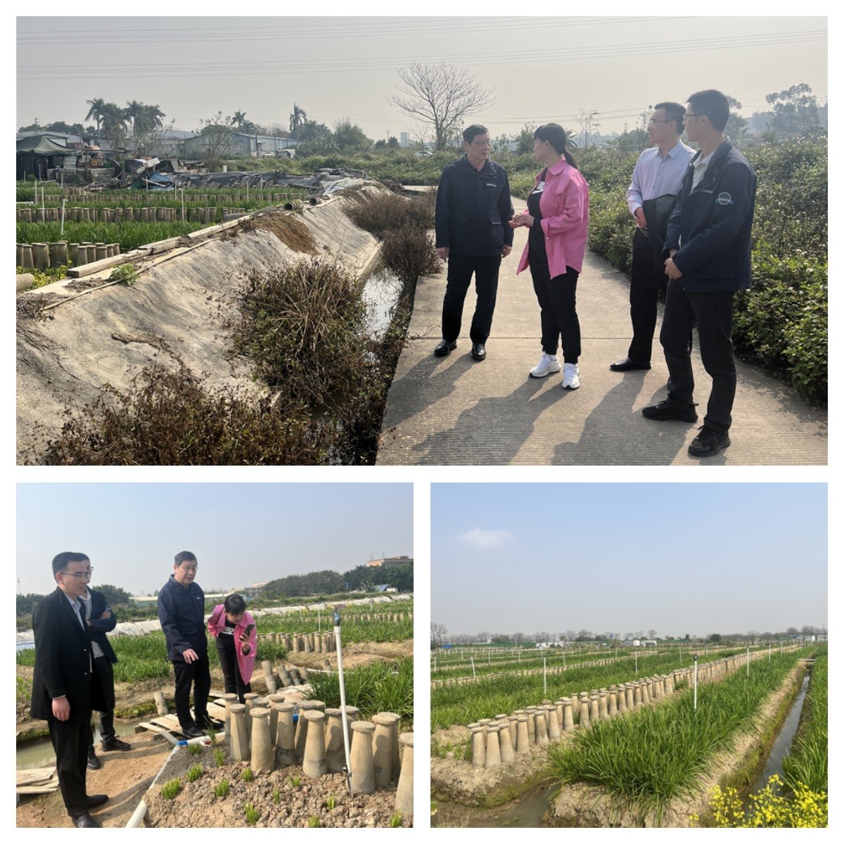 ��ҳ- �ڲ���������Ϊ��,רҵ����!