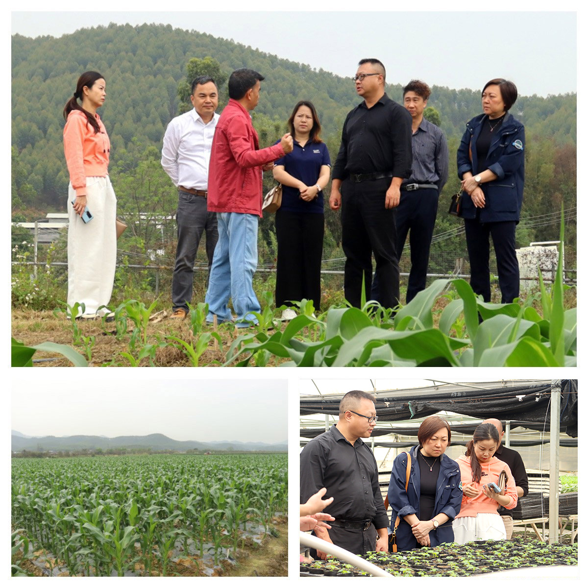 ��ҳ- �ڲ���������Ϊ��,רҵ����!