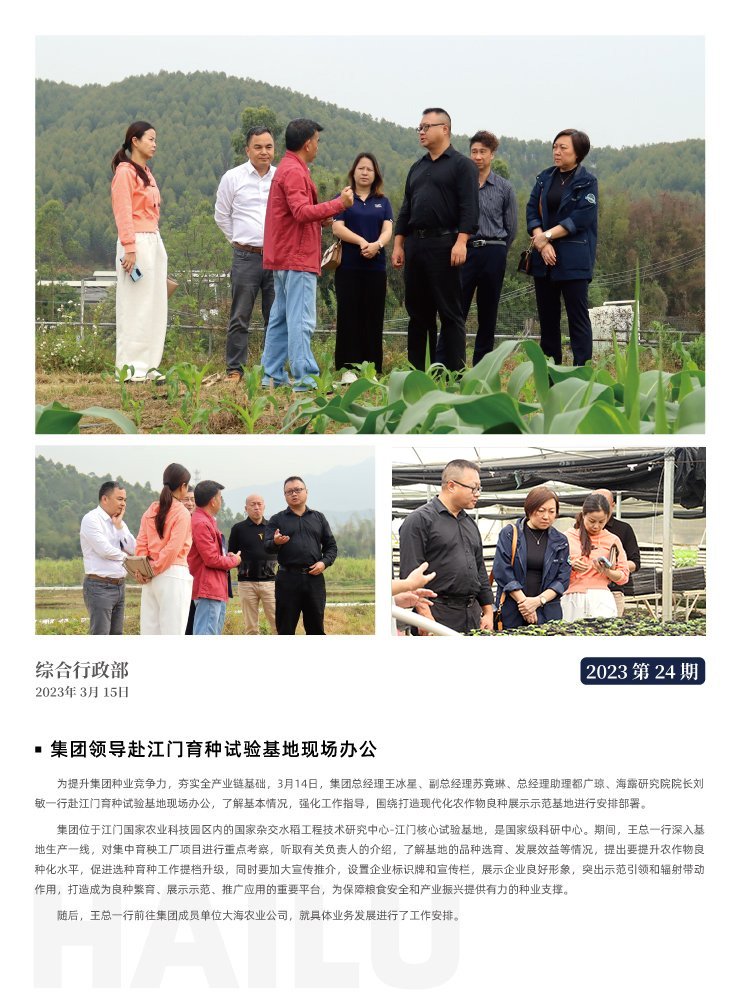 ��ҳ- �ڲ���������Ϊ��,רҵ����!