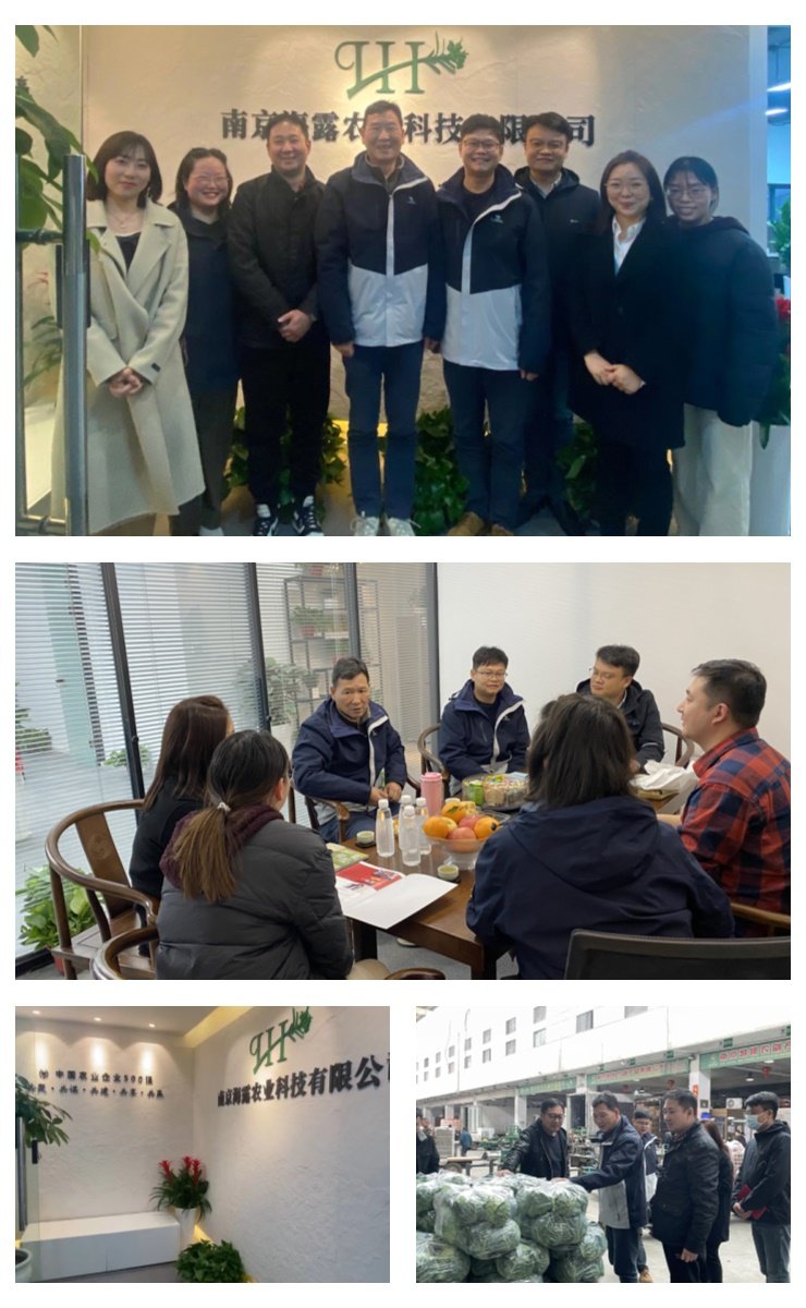 ��ҳ- �ڲ���������Ϊ��,רҵ����!