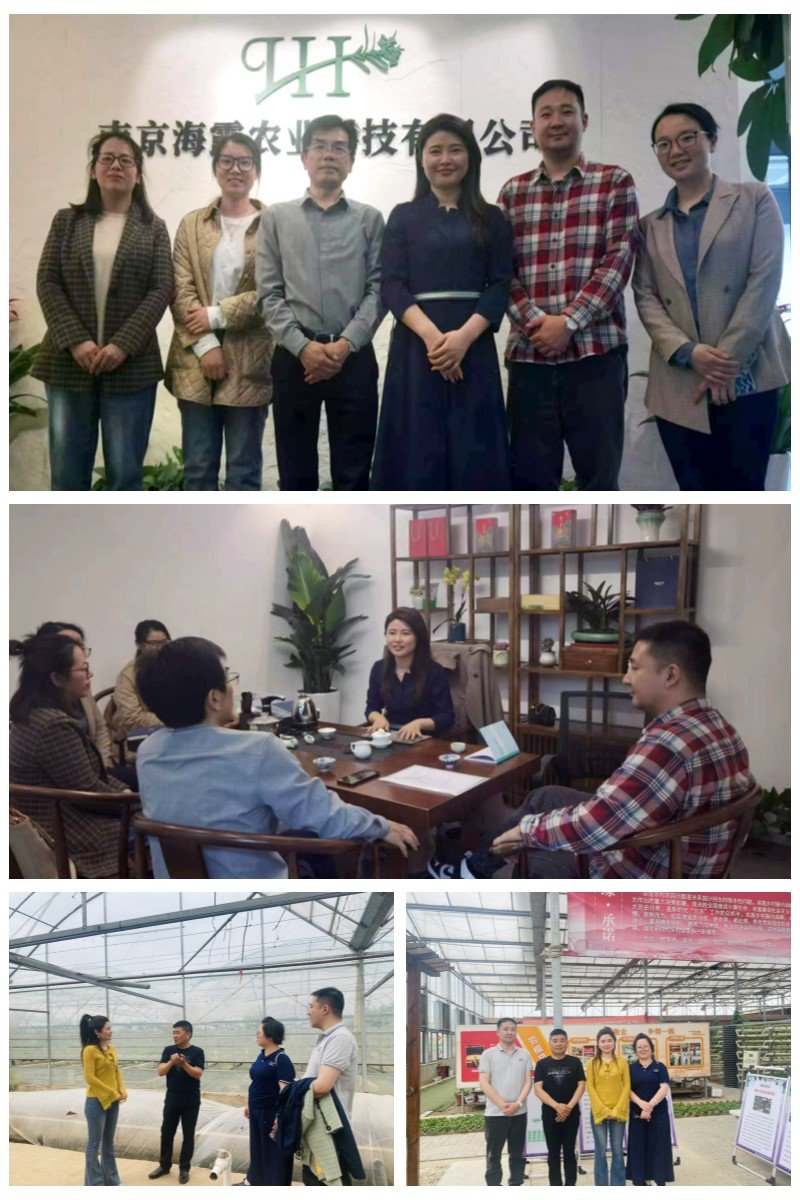 ��ҳ- �ڲ���������Ϊ��,רҵ����!