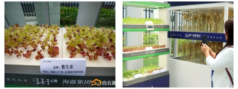 ��ҳ- �ڲ���������Ϊ��,רҵ����!