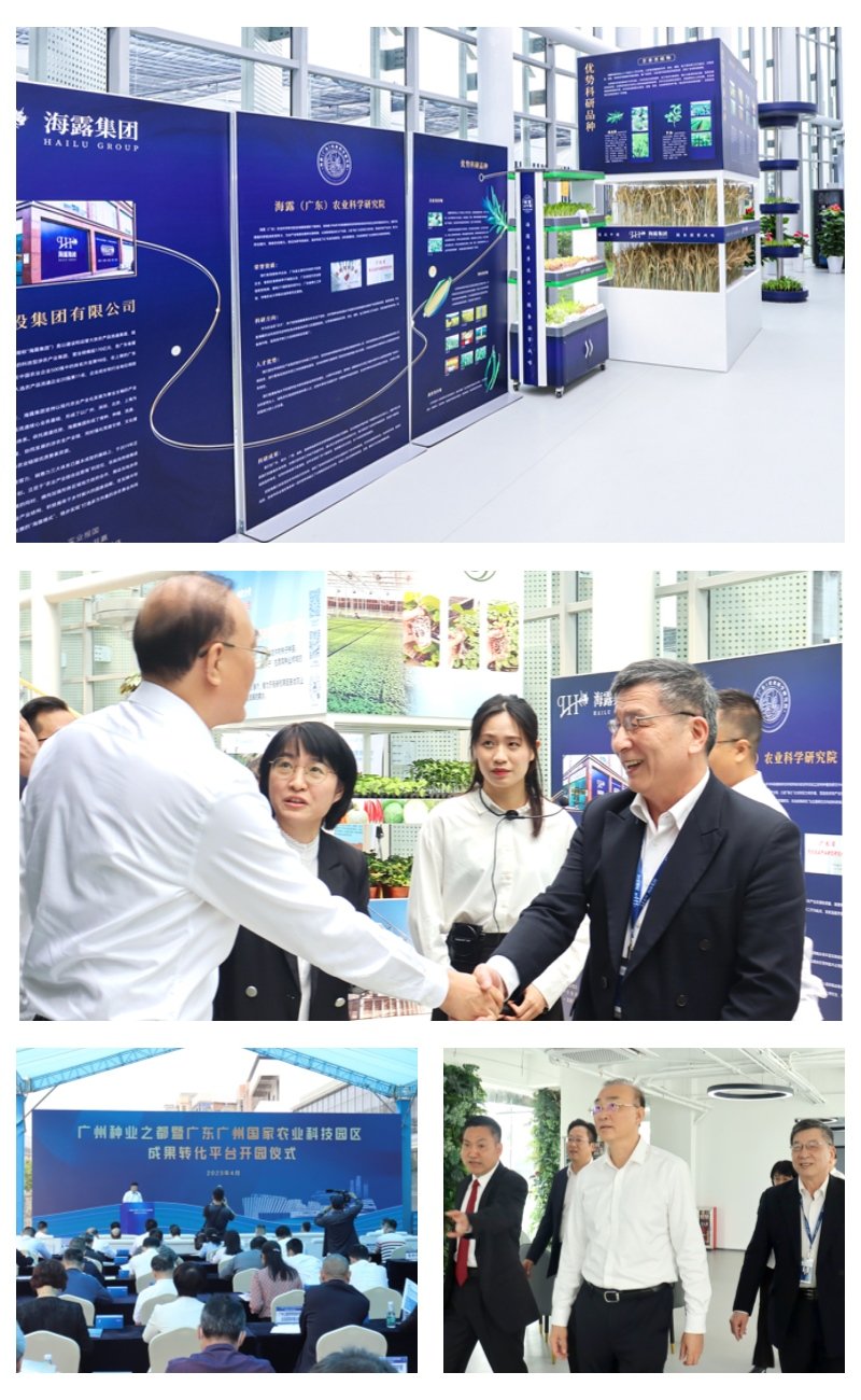 ��ҳ- �ڲ���������Ϊ��,רҵ����!