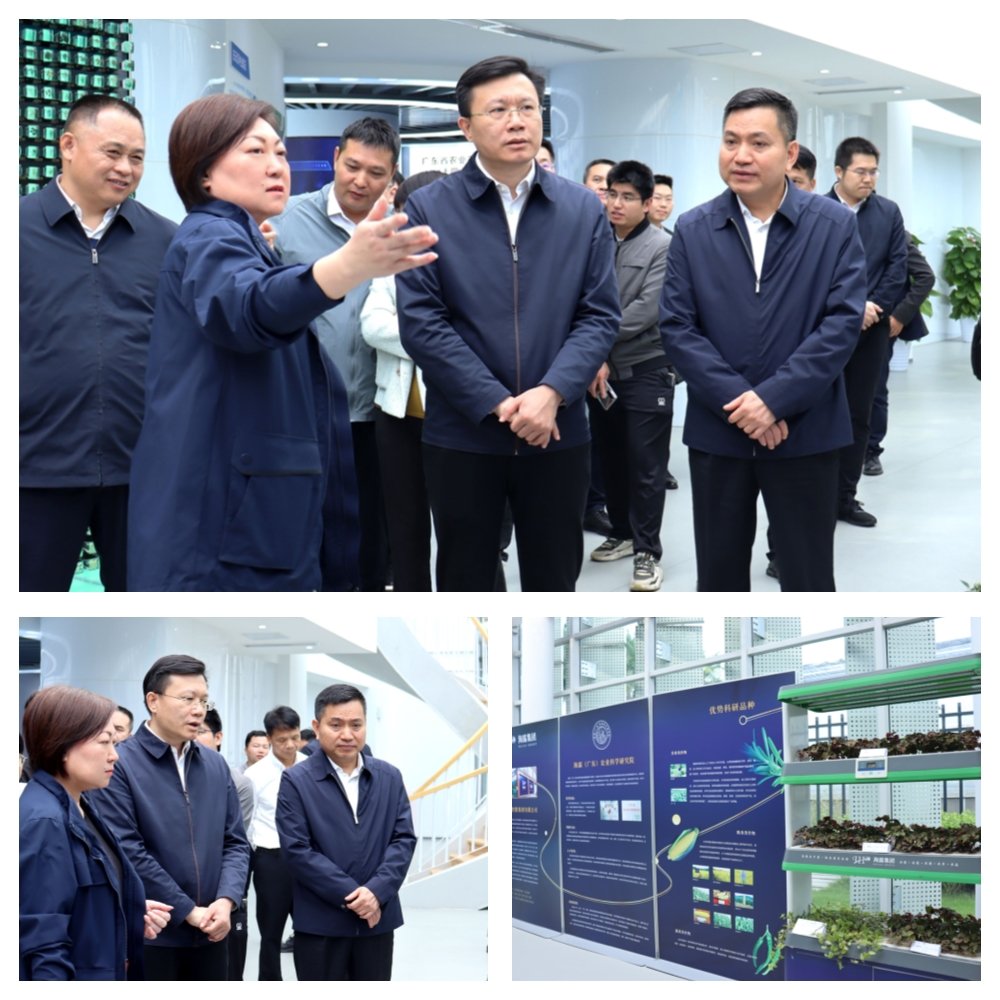 ��ҳ- �ڲ���������Ϊ��,רҵ����!