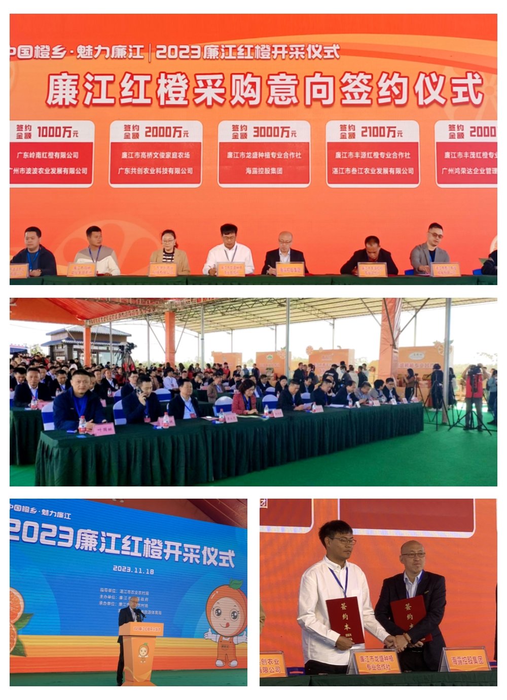 ��ҳ- �ڲ���������Ϊ��,רҵ����!