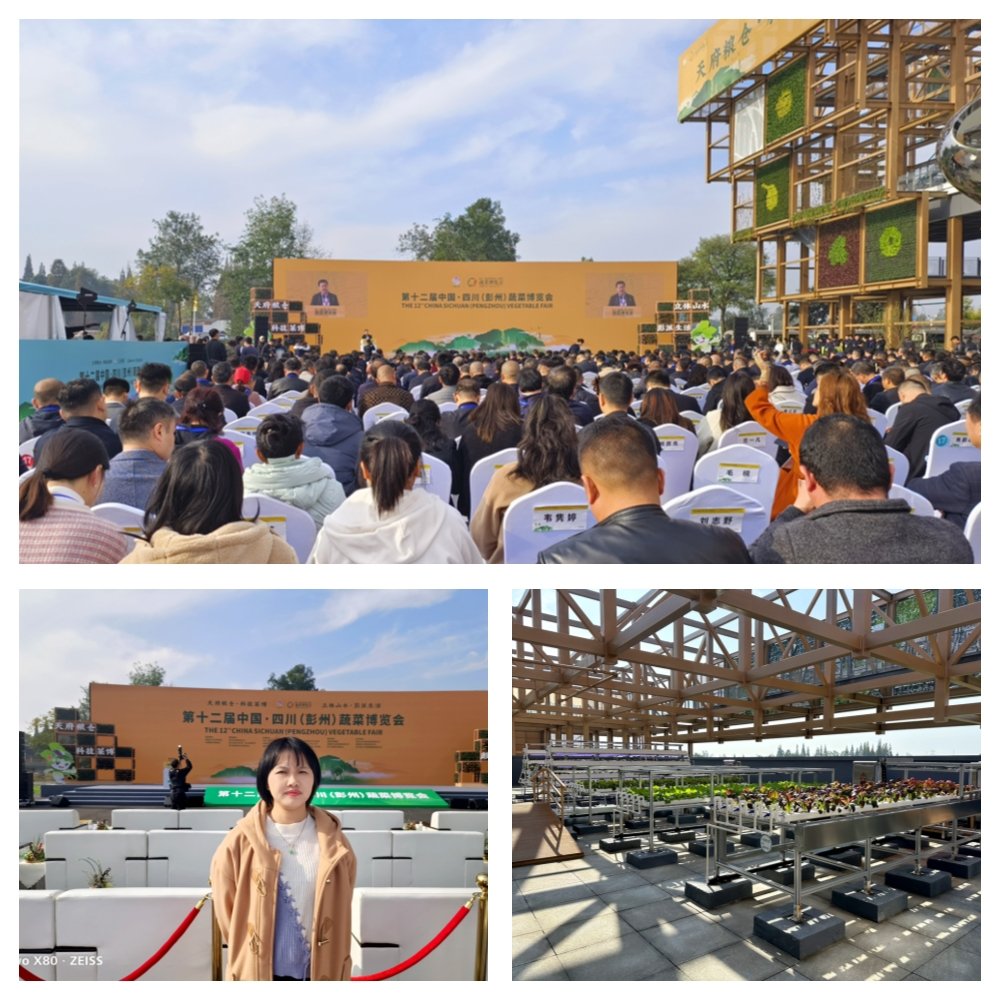 ��ҳ- �ڲ���������Ϊ��,רҵ����!