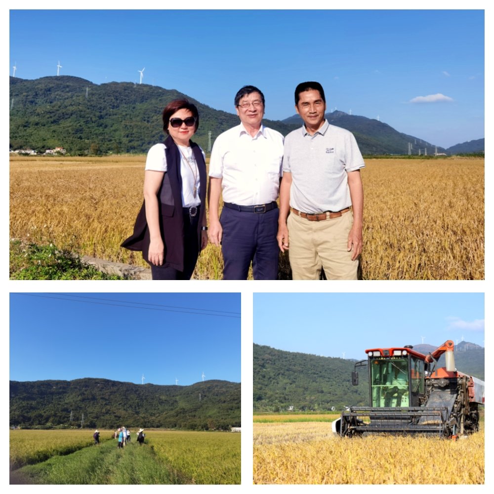 ��ҳ- �ڲ���������Ϊ��,רҵ����!