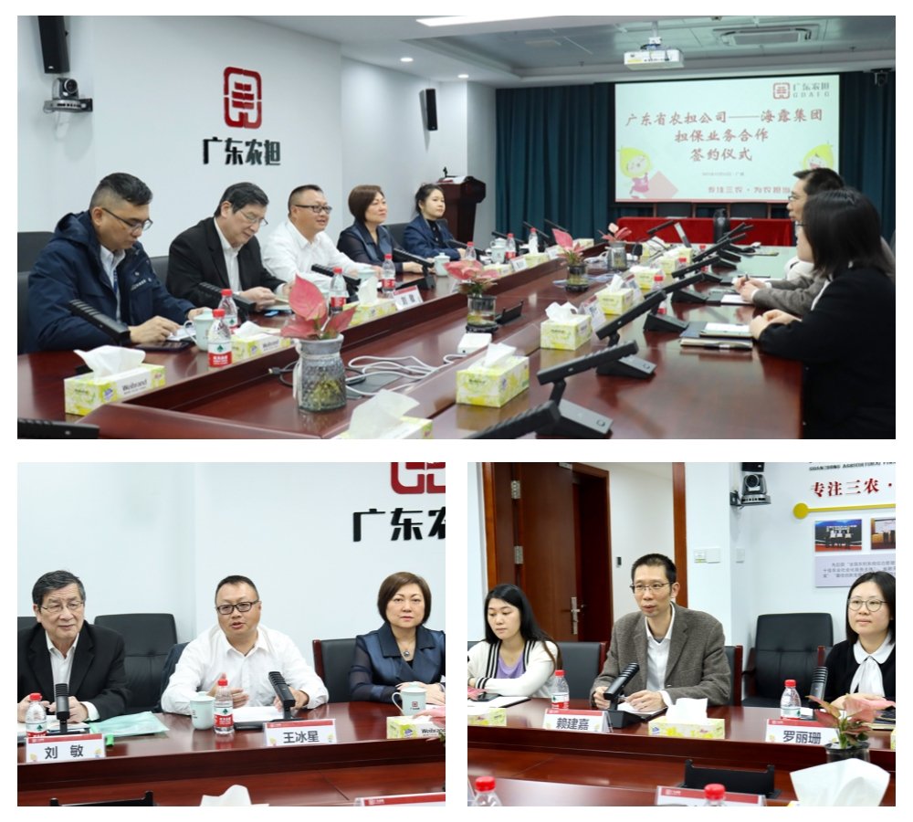 ��ҳ- �ڲ���������Ϊ��,רҵ����!