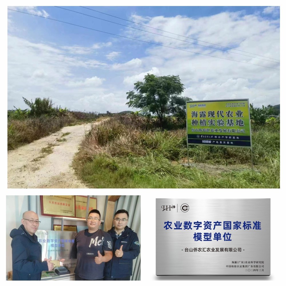 ��ҳ- �ڲ���������Ϊ��,רҵ����!