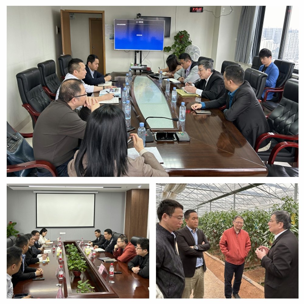 ��ҳ- �ڲ���������Ϊ��,רҵ����!