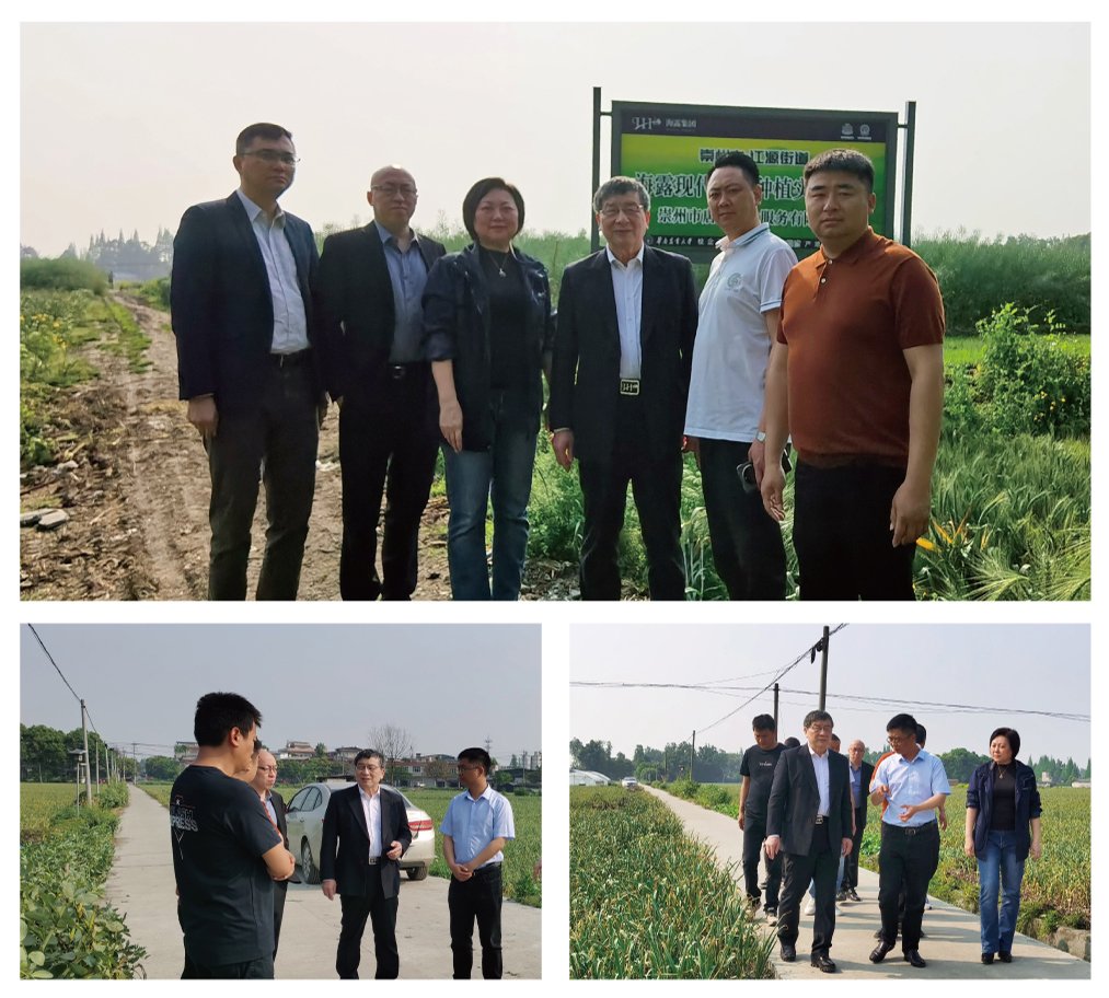 ��ҳ- �ڲ���������Ϊ��,רҵ����!