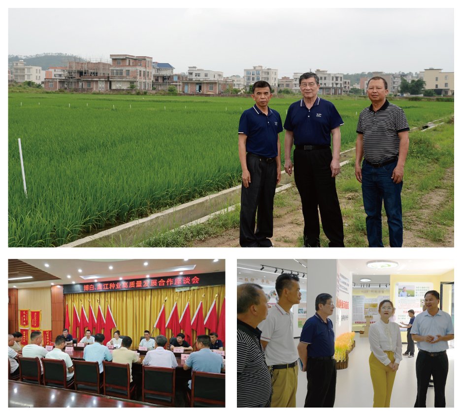 ��ҳ- �ڲ���������Ϊ��,רҵ����!