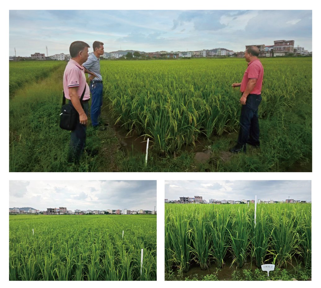 ��ҳ- �ڲ���������Ϊ��,רҵ����!