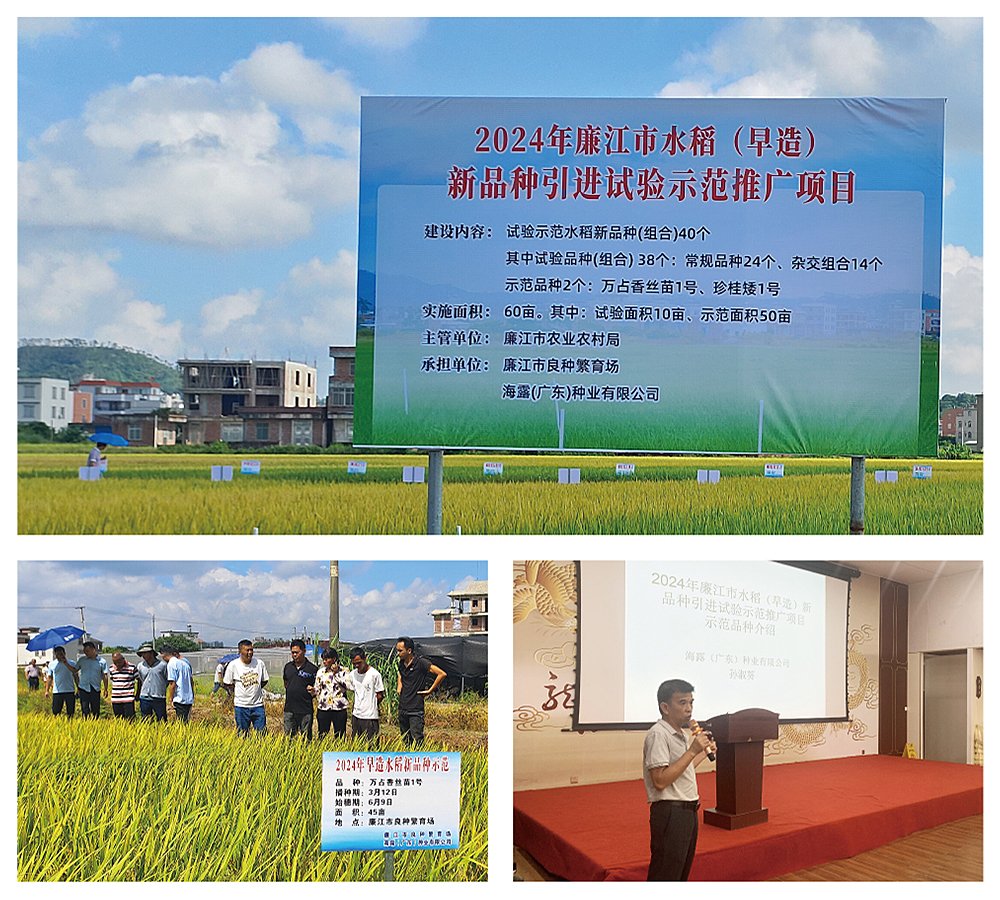 ��ҳ- �ڲ���������Ϊ��,רҵ����!