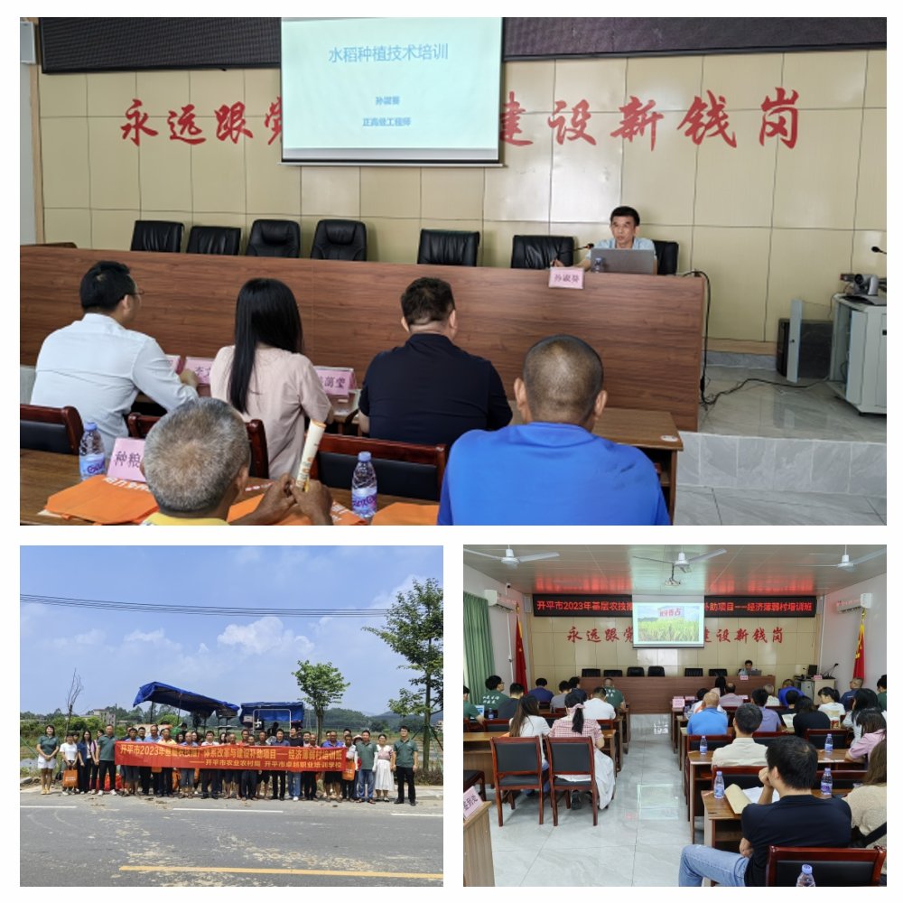 ��ҳ- �ڲ���������Ϊ��,רҵ����!