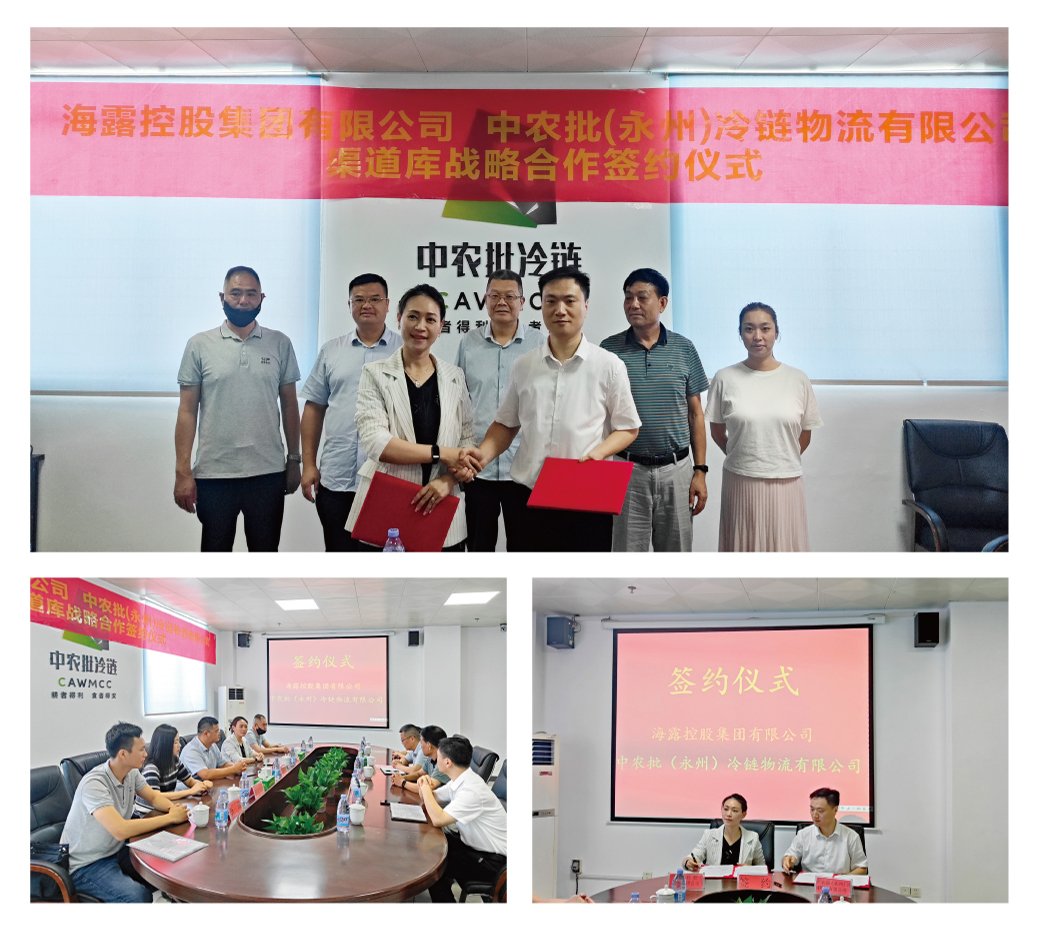 ��ҳ- �ڲ���������Ϊ��,רҵ����!