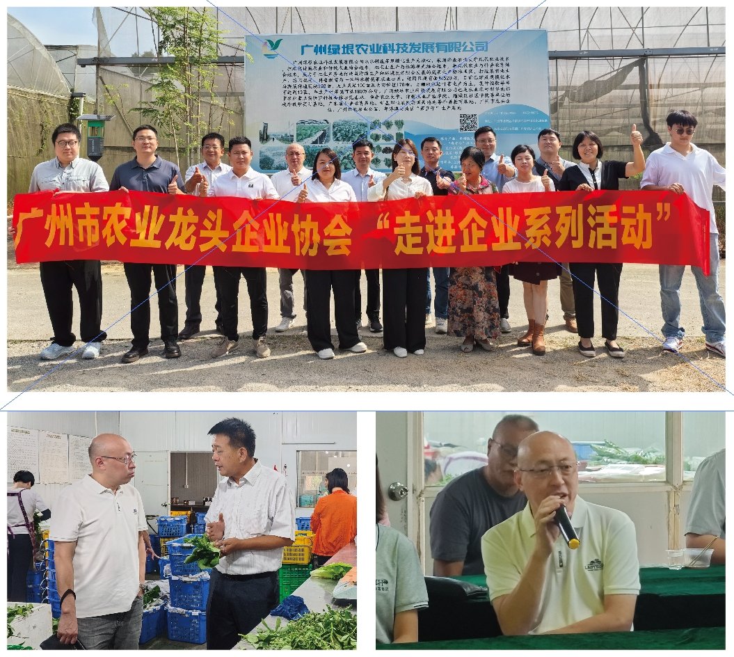 ��ҳ- �ڲ���������Ϊ��,רҵ����!