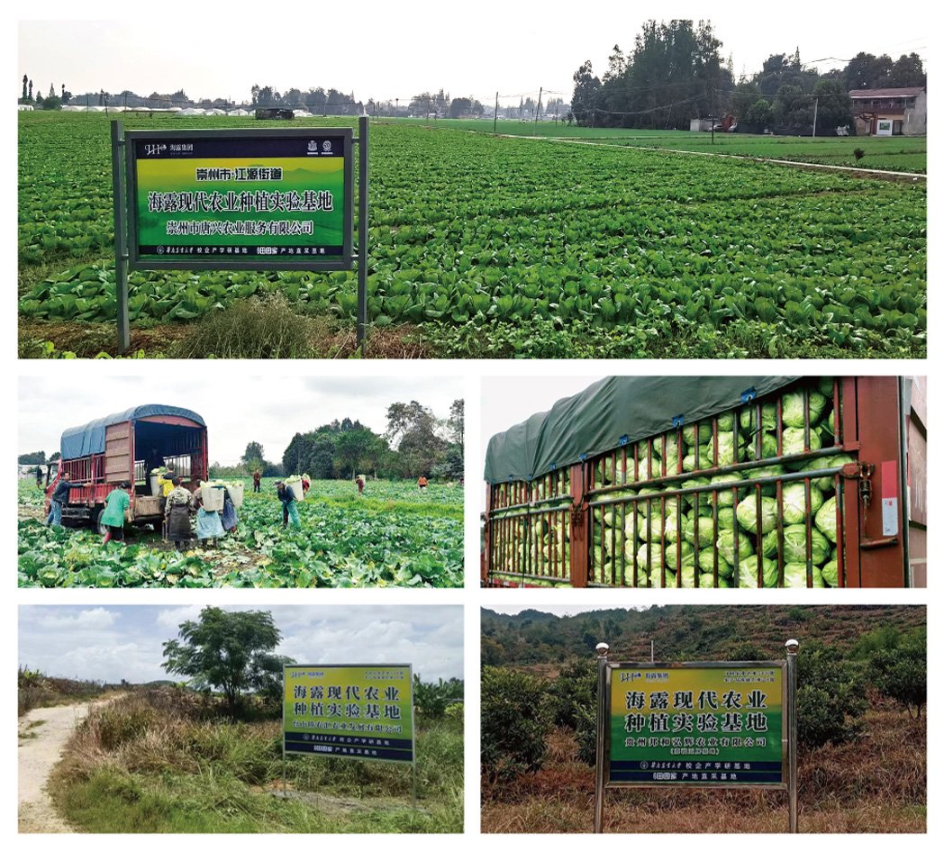 ��ҳ- �ڲ���������Ϊ��,רҵ����!