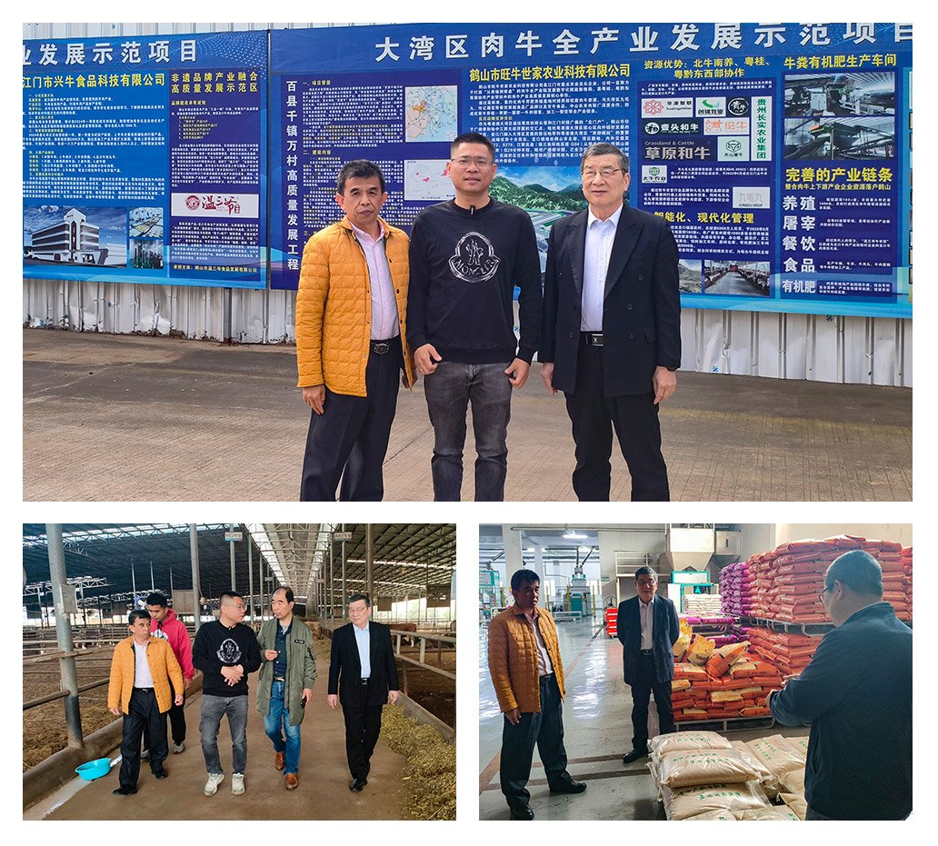 ��ҳ- �ڲ���������Ϊ��,רҵ����!