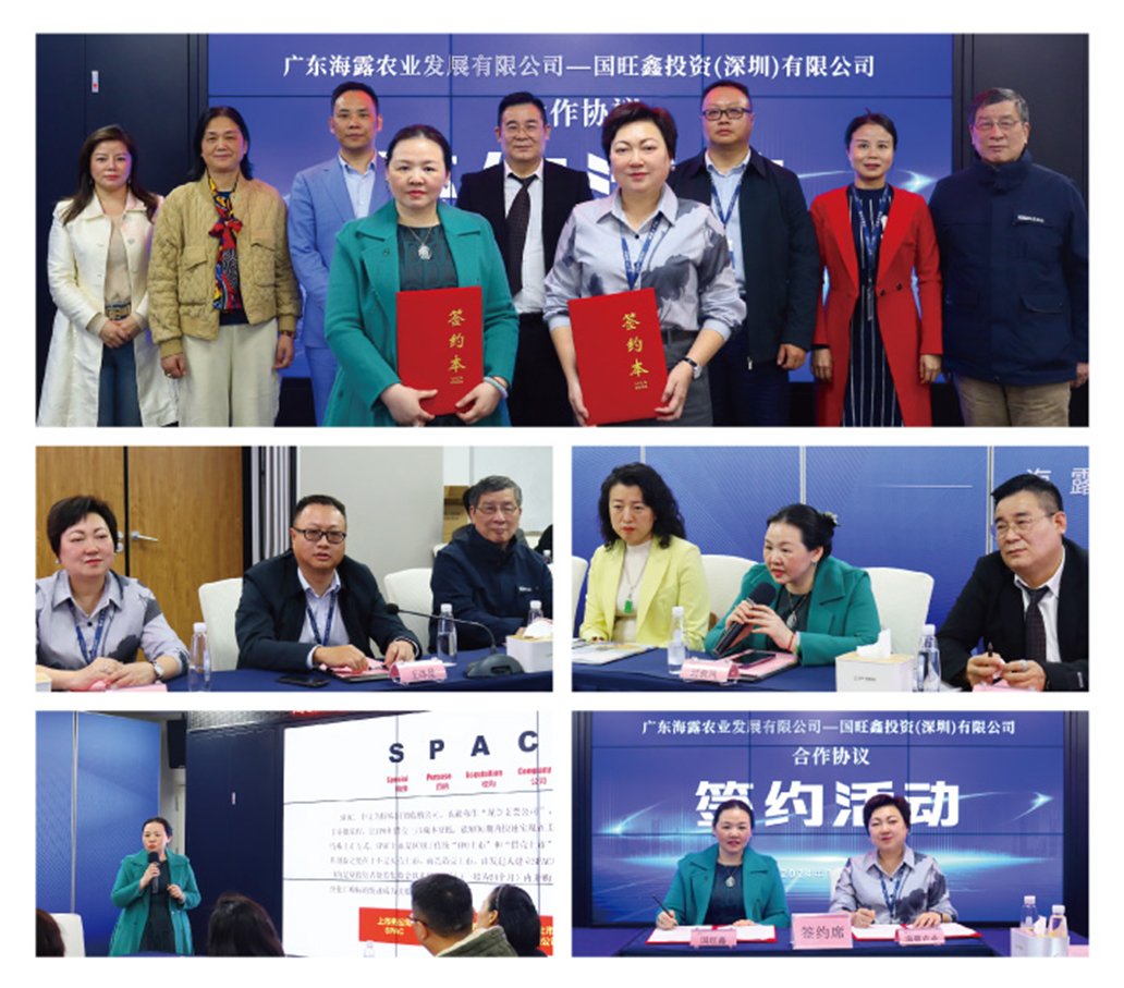 ��ҳ- �ڲ���������Ϊ��,רҵ����!