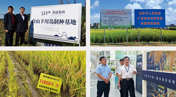 ��ҳ- �ڲ���������Ϊ��,רҵ����!