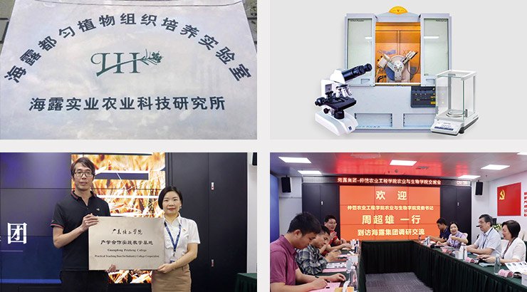 ��ҳ- �ڲ���������Ϊ��,רҵ����!