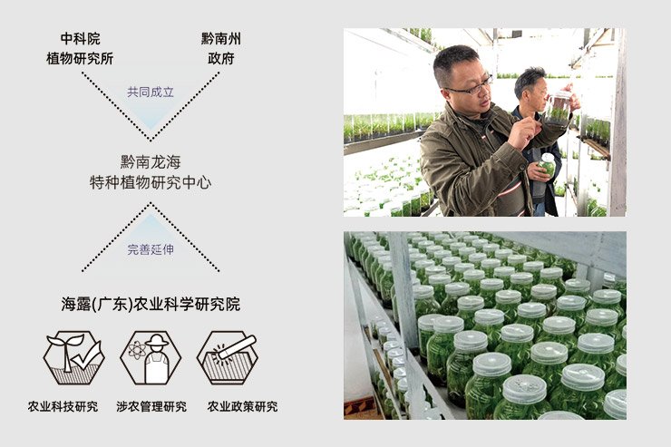 1-250210163344T0 首页- 腾博官网诚信为本,专业服务!