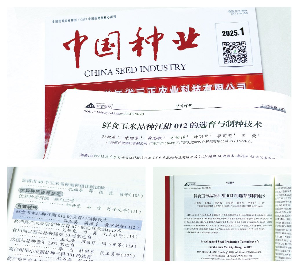 ��ҳ- �ڲ���������Ϊ��,רҵ����!