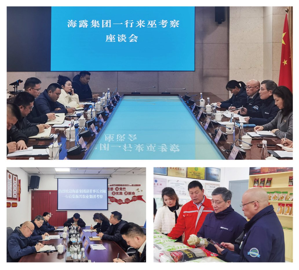 ��ҳ- �ڲ���������Ϊ��,רҵ����!